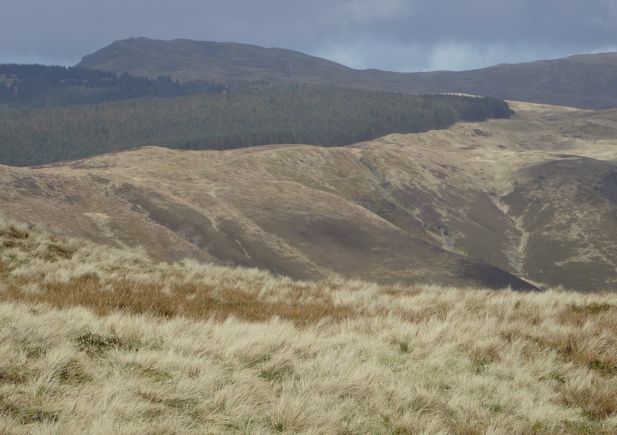 RachelSeabrook.net | Wild Walking | Ponterwyd and Pen Dihewyd | pic20